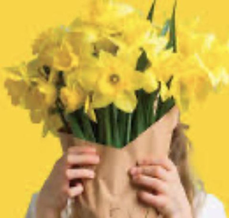 Daffodil Day 2024 Naas CBS