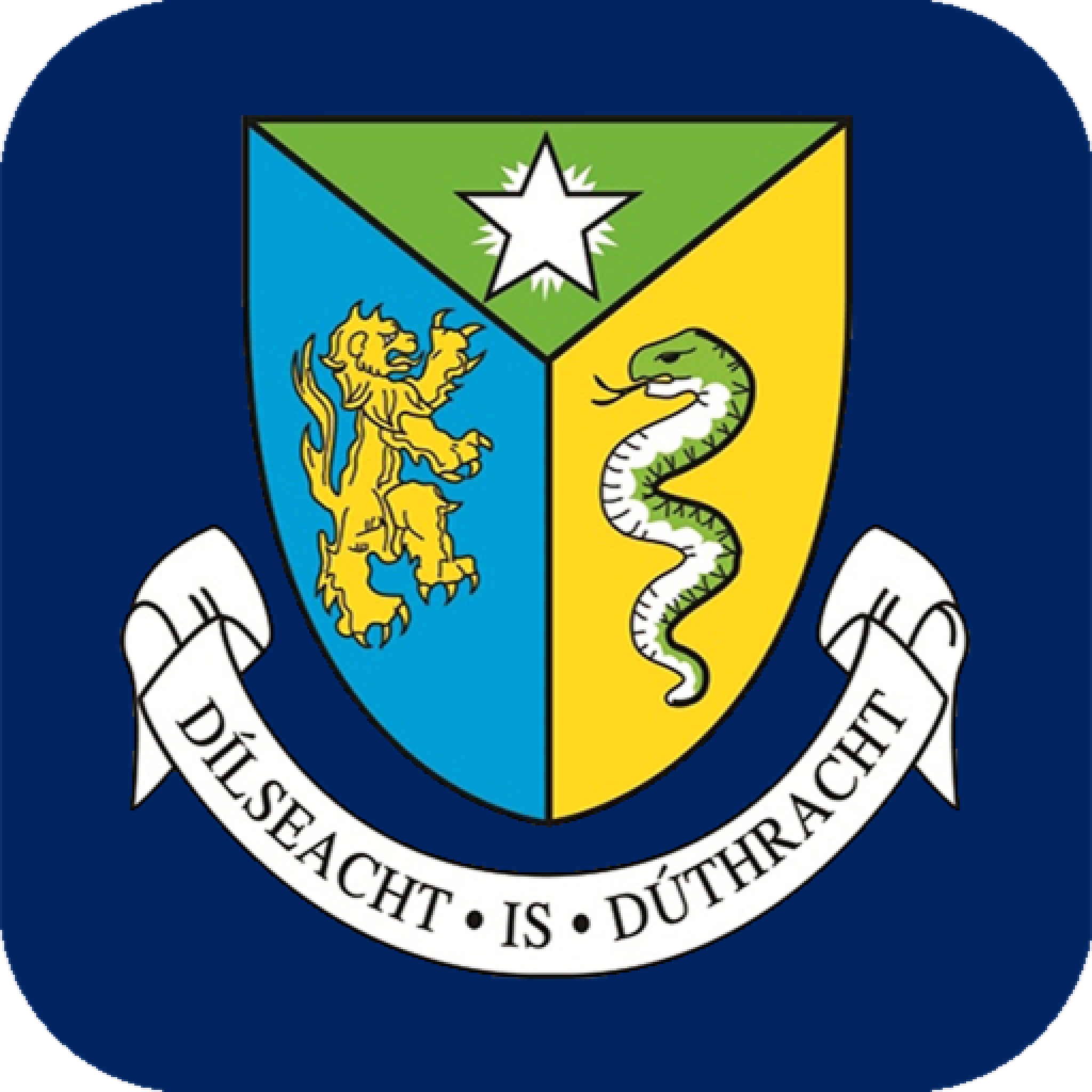 Naas CBS | Naas | Co. Kildare | Ireland